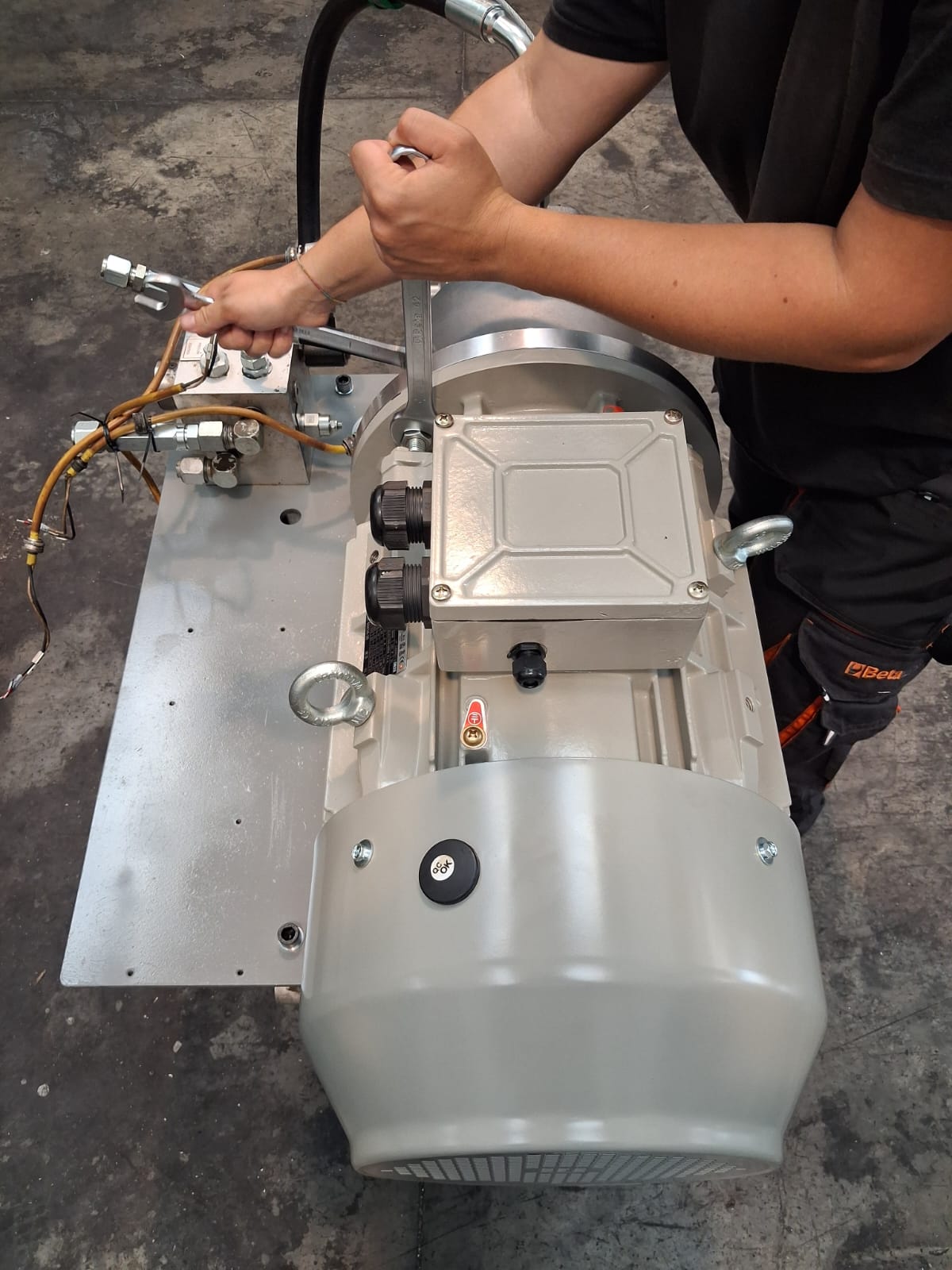 Immagine WhatsApp 2025-09-12 ore 14.11.21_037893c9