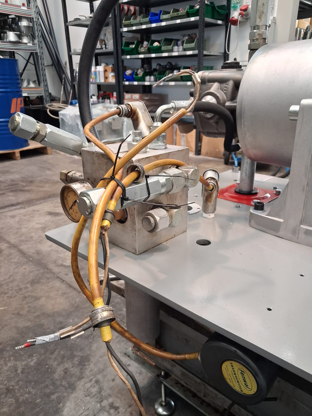 Immagine WhatsApp 2025-09-12 ore 14.11.22_b76163fb